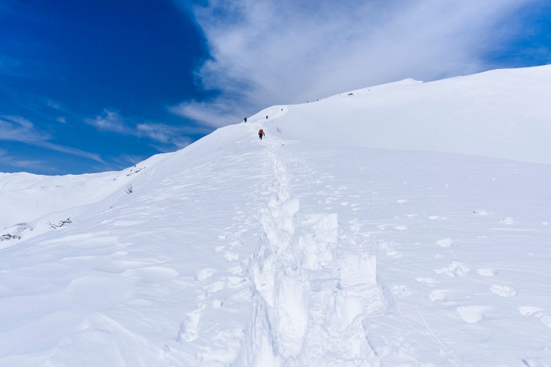 新雪の中を歩く登山者たち（谷川岳）の写真