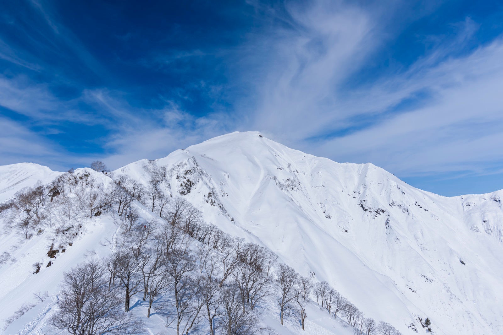 「谷川岳山頂を見つめる」の写真