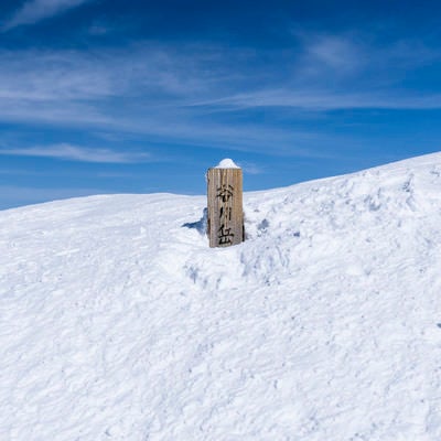 雪に埋まった谷川岳山頂標の写真