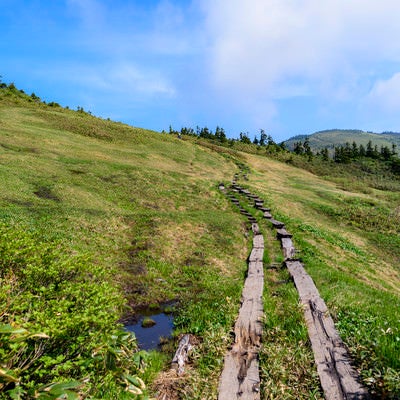 津駒ヶ岳の山頂へと続く木道の写真