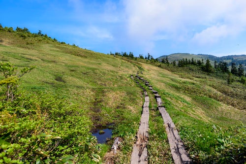 津駒ヶ岳の山頂へと続く木道の写真