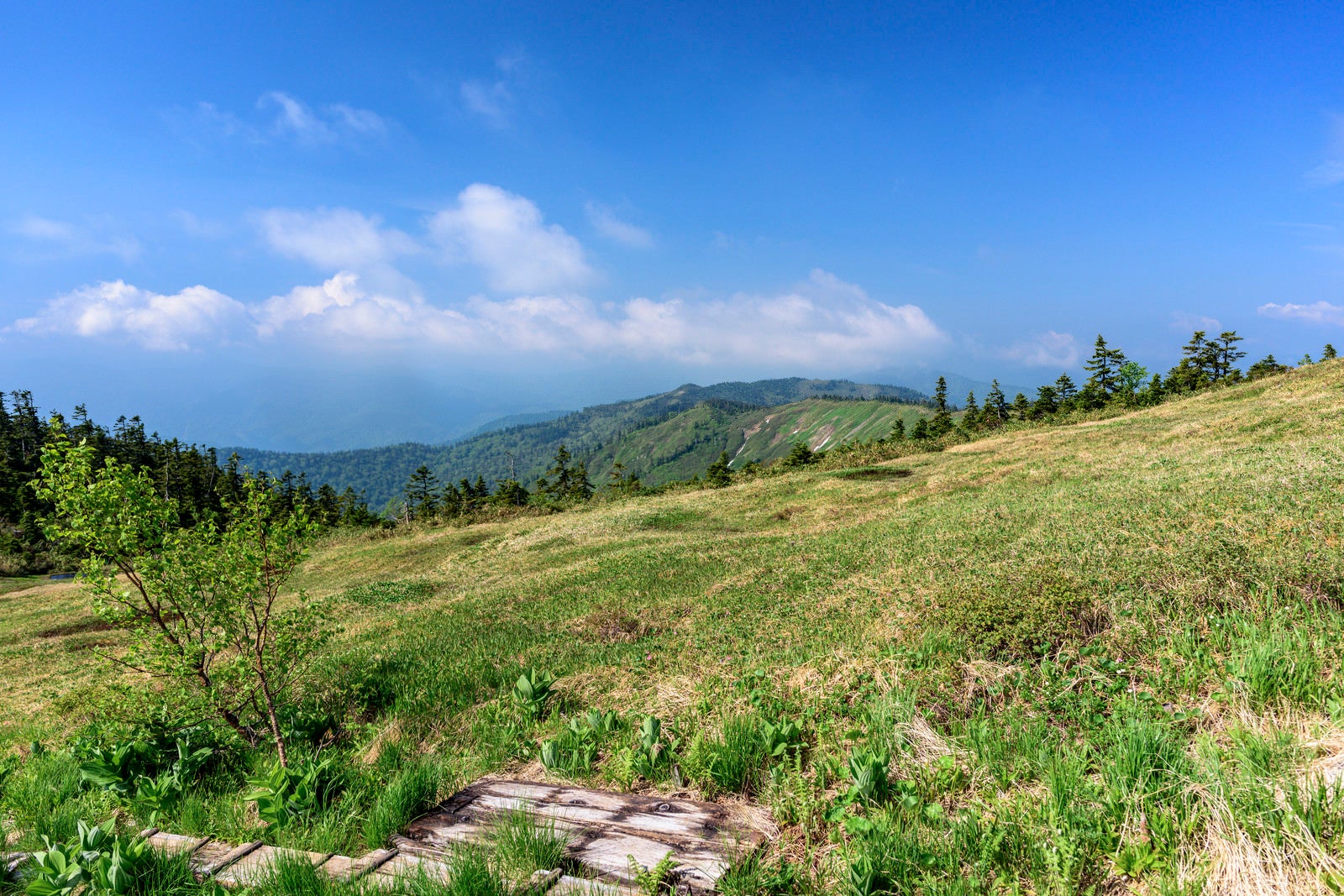 「会津駒ヶ岳の広い稜線（福島県南会津郡）」の写真