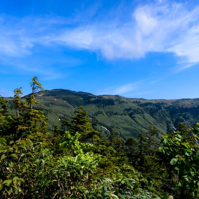 登山道から見上げる会津駒ヶ岳の山並みの写真