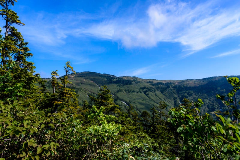 登山道から見上げる会津駒ヶ岳の山並みの写真