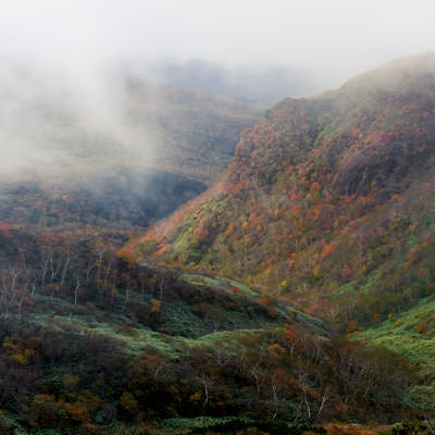 ガスの隙間から紅葉が見える那須岳中腹の写真