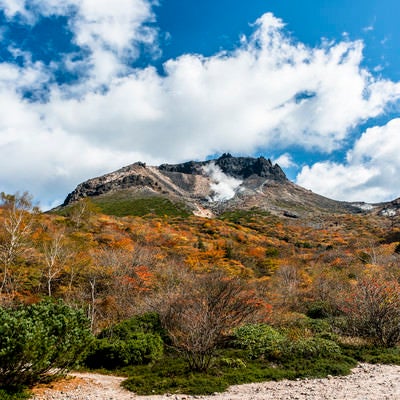 姥ヶ平の紅葉（那須岳）の写真