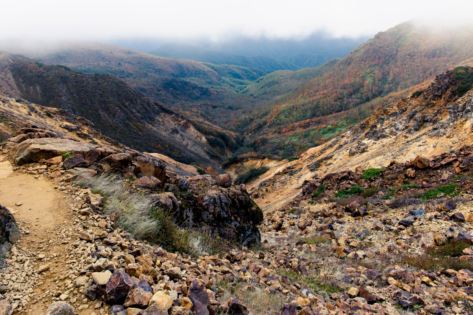 「火山性の大地と樹林帯の紅葉（那須岳）」の写真
