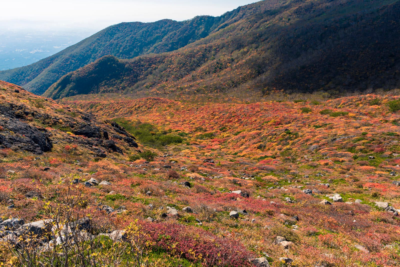 「牛ヶ首へと向かう登山道の紅葉（那須岳）」の写真