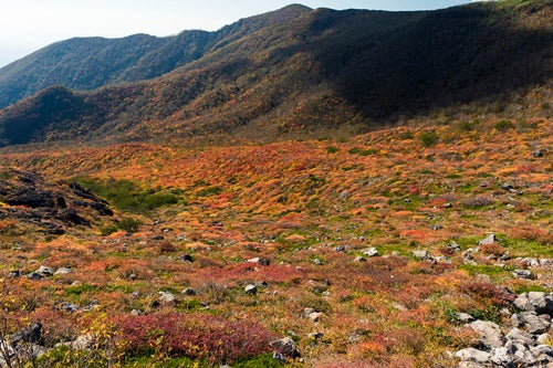 紅葉に染まる那須茶臼岳中腹（那須岳）の写真