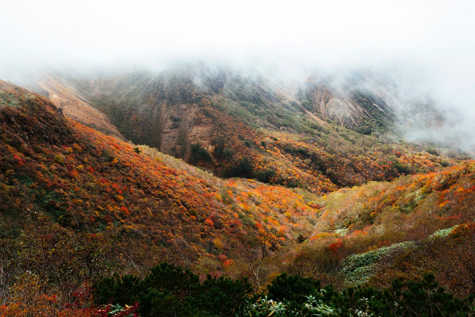 「錦の紅葉に染まる那須岳中腹（那須岳）」の写真