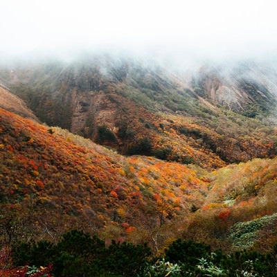錦の紅葉に染まる那須岳中腹（那須岳）の写真