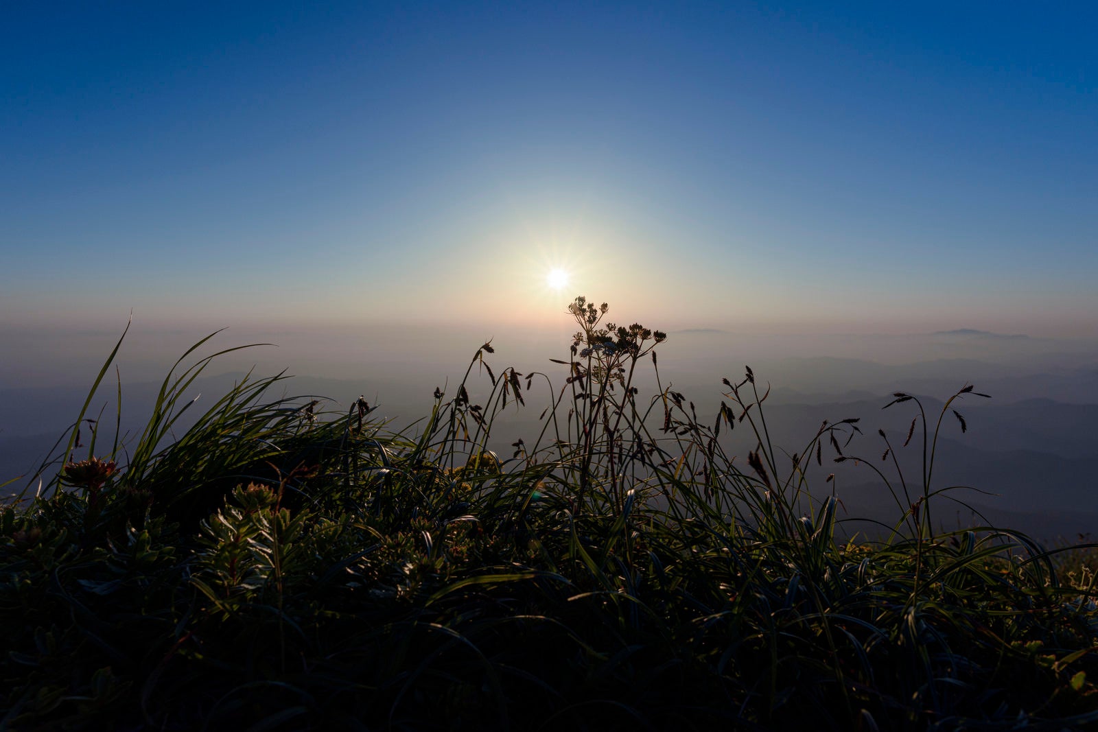 「朝日を待つ木々（鳥海山）」の写真