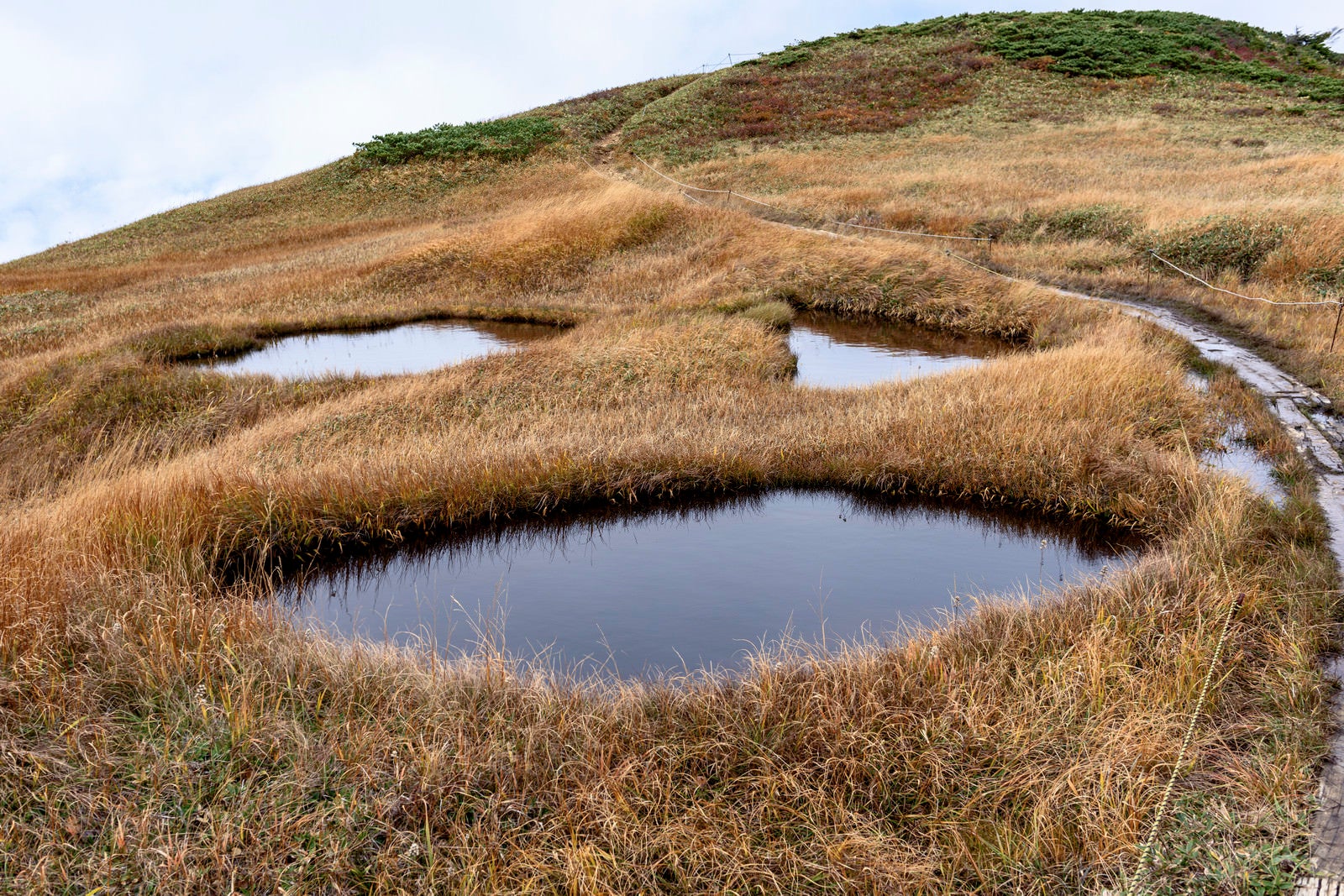 「ジャックランタンのような顔の池塘（巻機山）」の写真