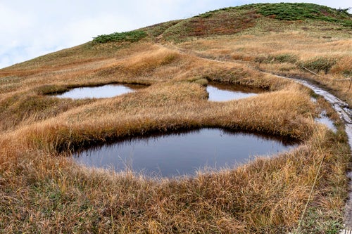ジャックランタンのような顔の池塘（巻機山）の写真