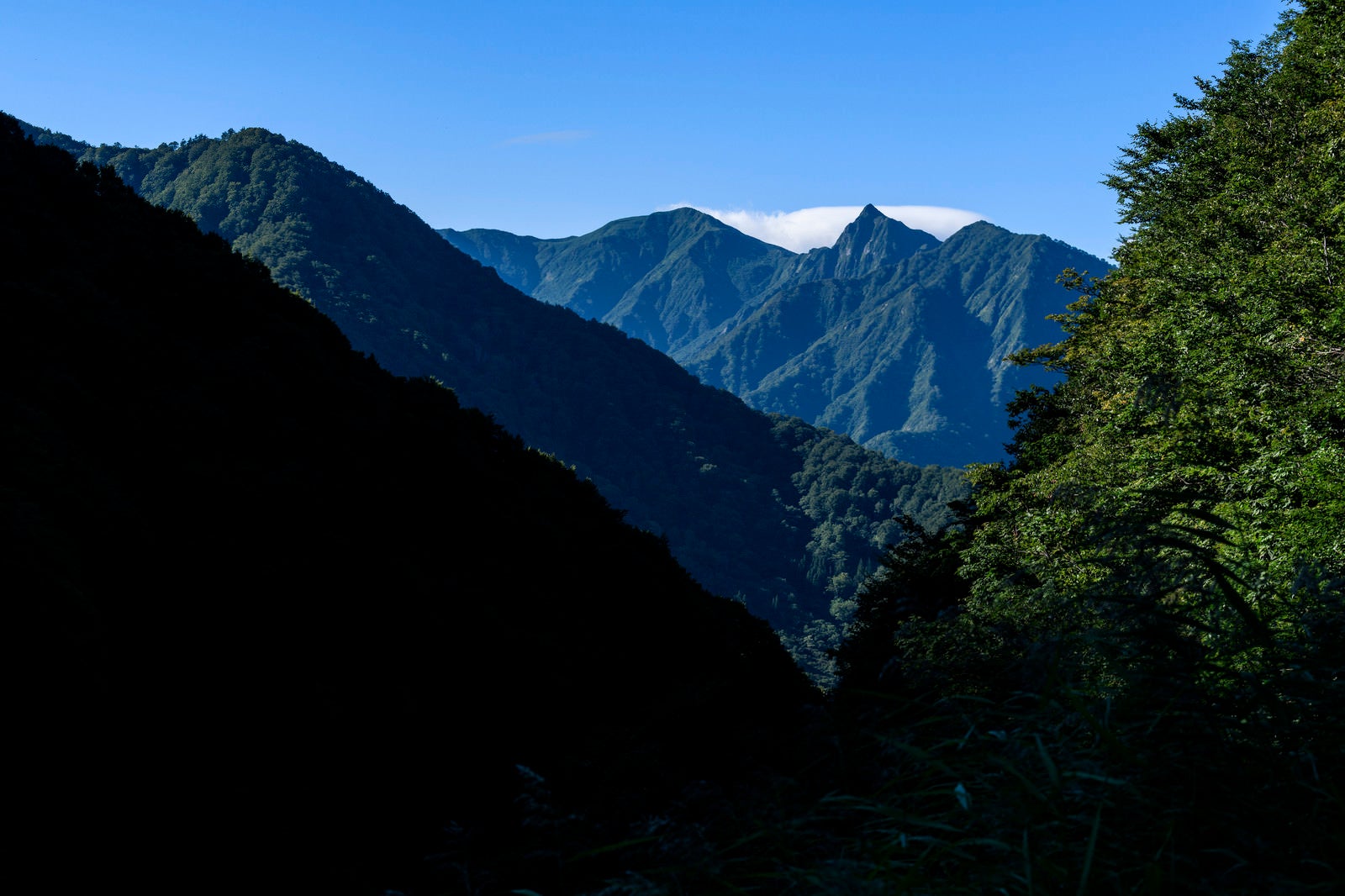 「ヌクビ沢から見る大源太山（だいげんたさん）」の写真