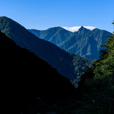 ヌクビ沢から見る大源太山（だいげんたさん）の写真