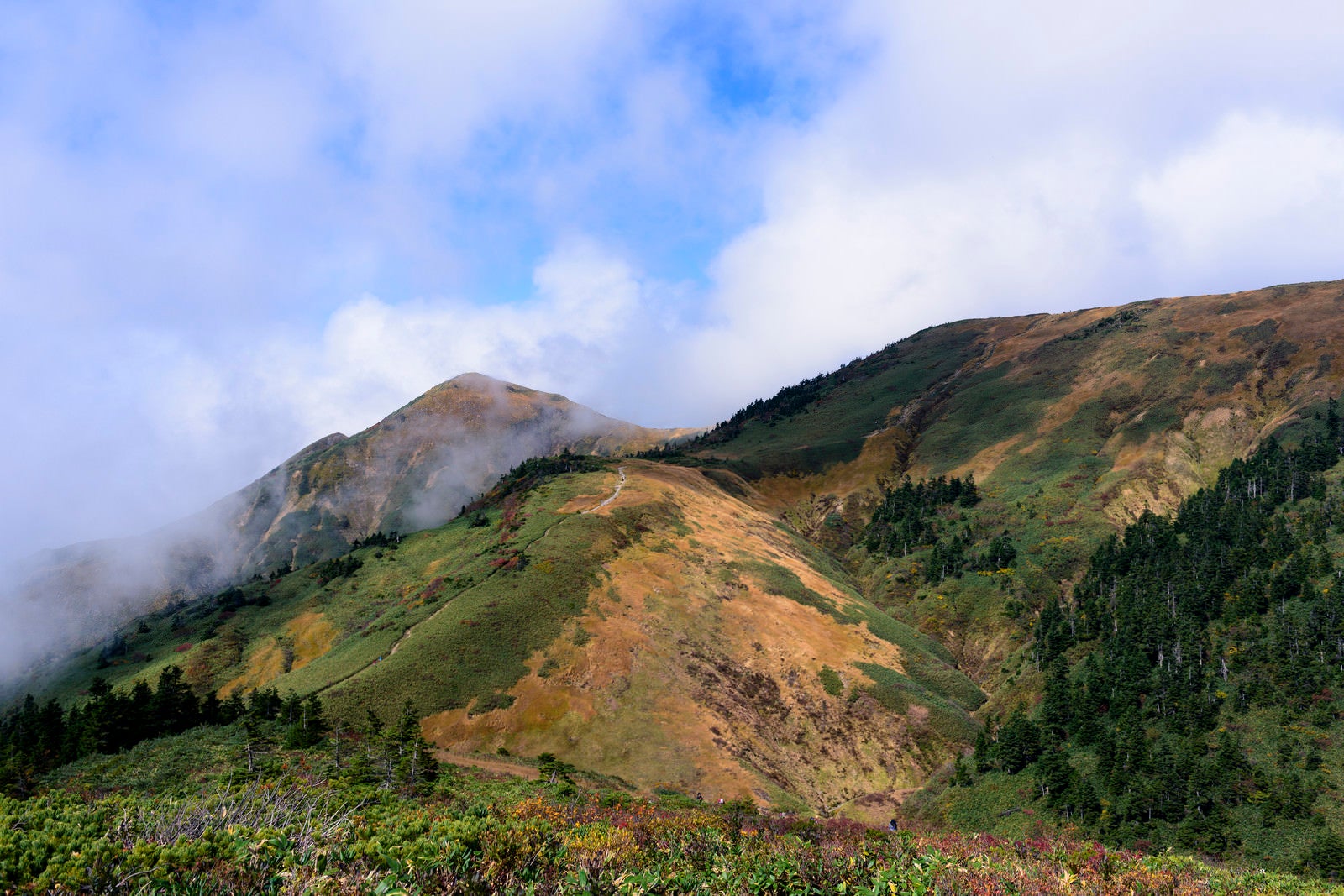 「割引山と巻機山稜線」の写真