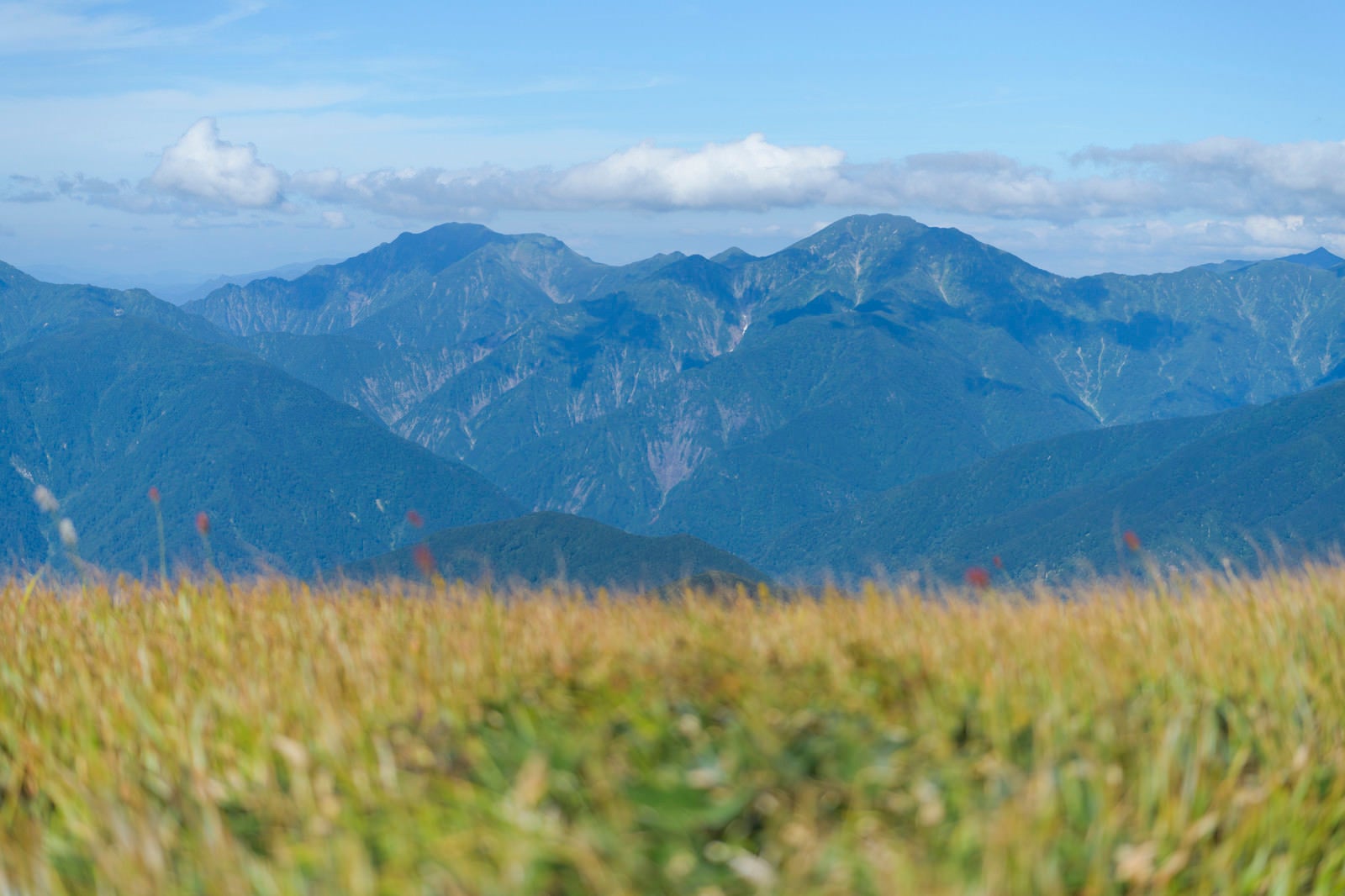 「巻機山から見る越後三山方面の展望」の写真