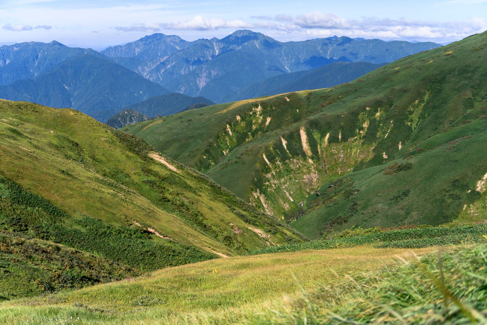 「巻機山の大きな谷と越後駒ヶ岳たち」の写真