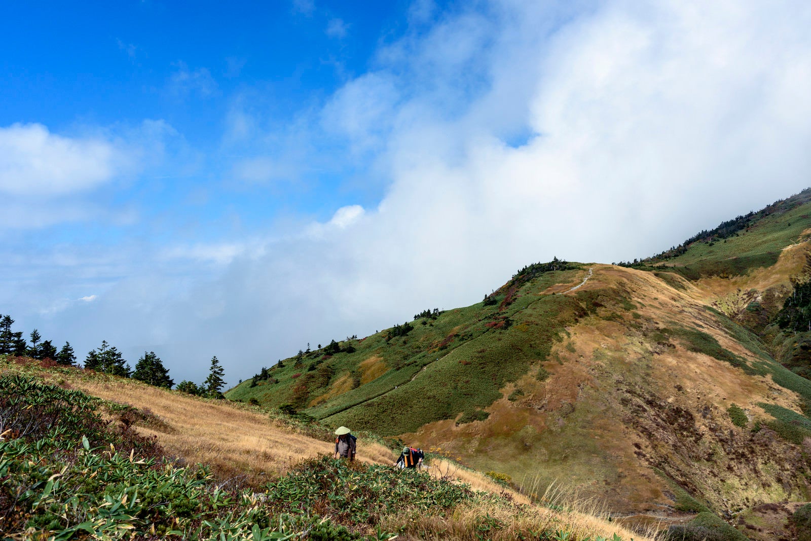 「巻機山稜線を歩く登山者たち」の写真