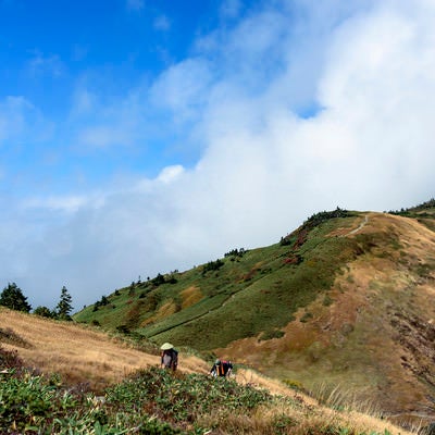 巻機山稜線を歩く登山者たちの写真