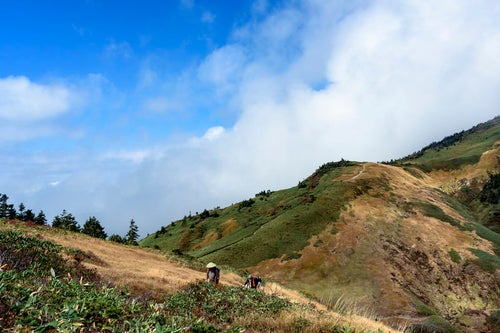 巻機山稜線を歩く登山者たちの写真