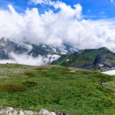 雲に包まれる白馬岳稜線の写真
