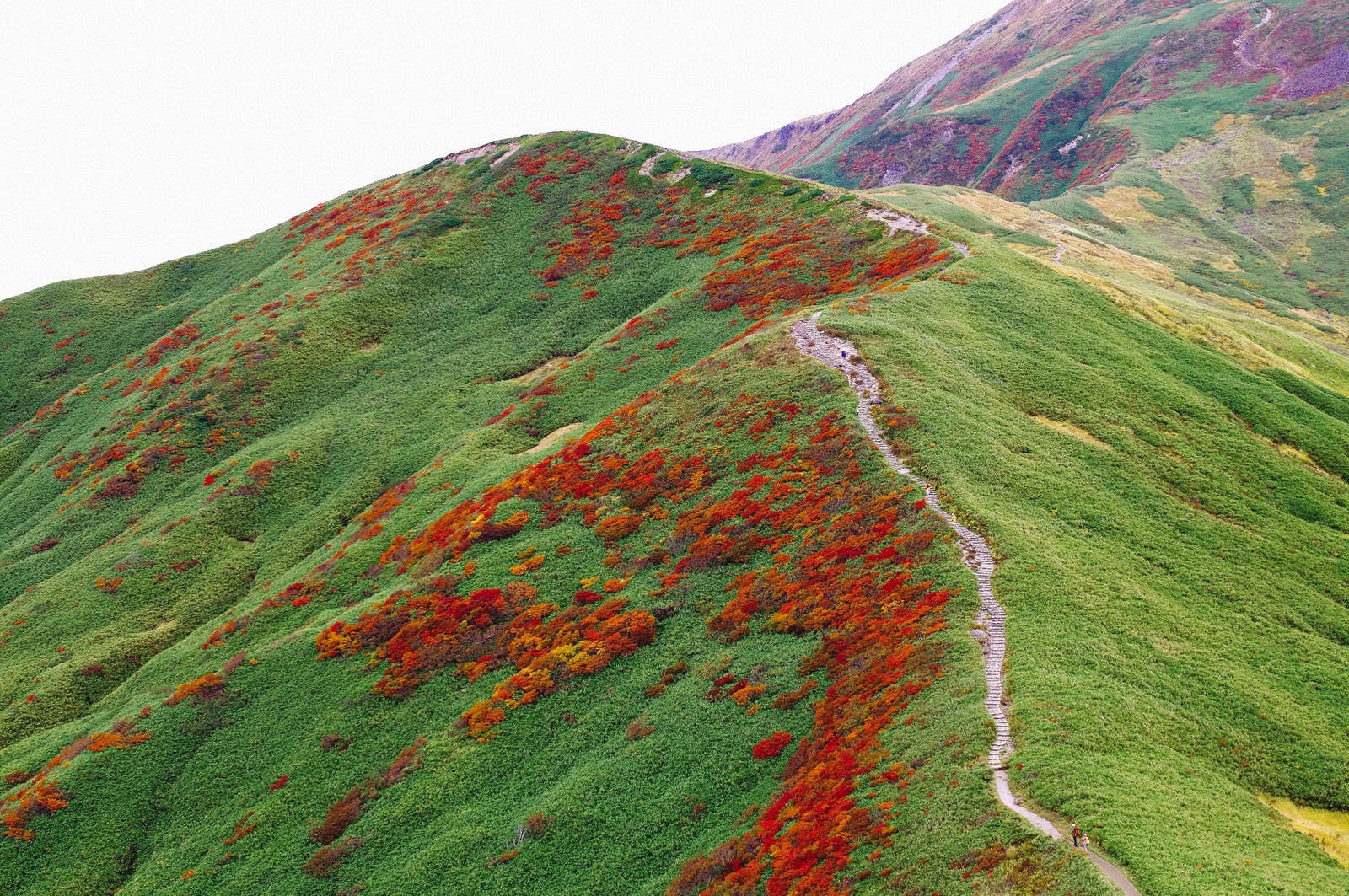「笹と紅葉に彩られた月山の登山道」の写真