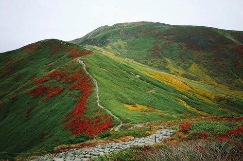 赤と緑と黄色に彩られた月山の景色の写真
