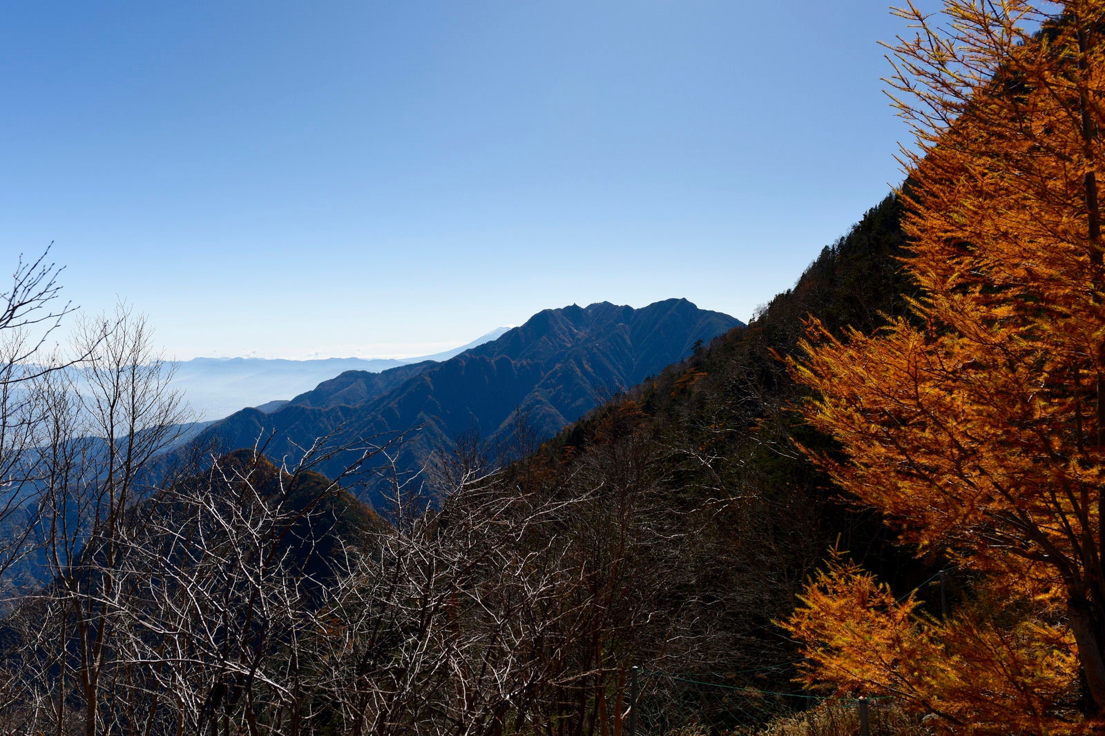 「甲斐駒ヶ岳黒戸尾根から見る鳳凰三山方面」の写真