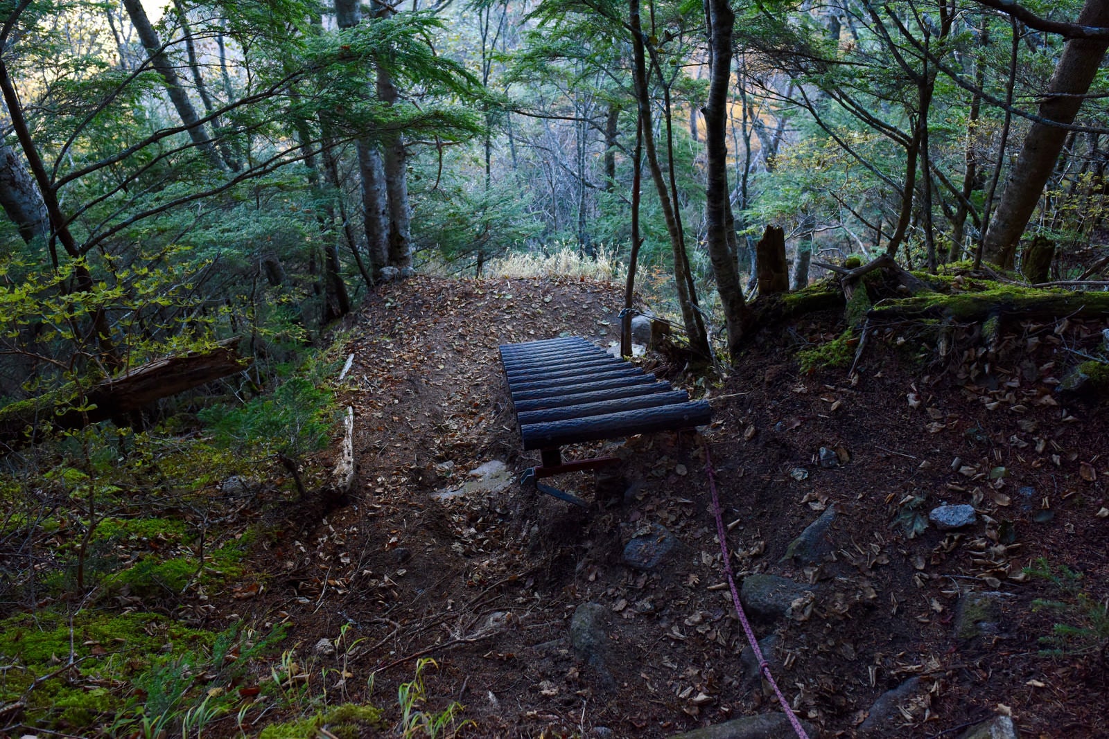 「登山道によくある木造りの階段（甲斐駒ヶ岳）」の写真