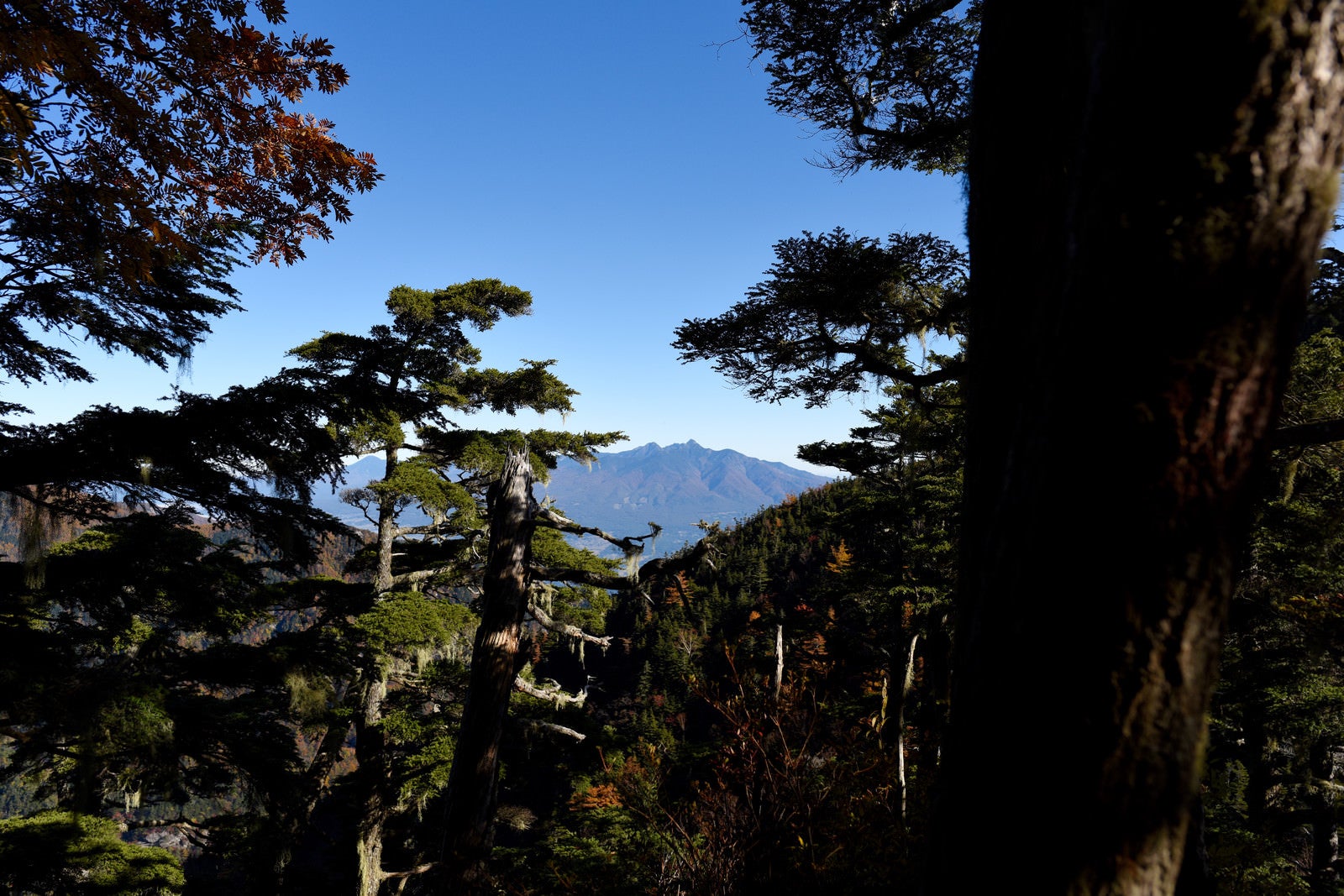 「黒戸尾根から見る八ヶ岳（甲斐駒ヶ岳）」の写真