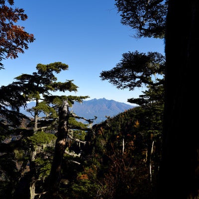 黒戸尾根から見る八ヶ岳（甲斐駒ヶ岳）の写真