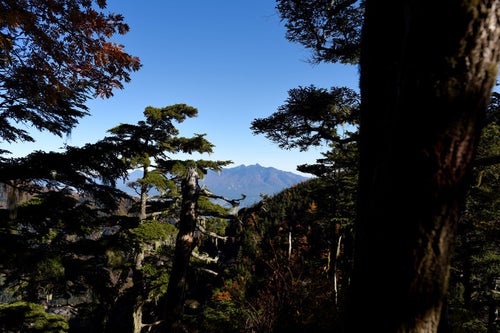 黒戸尾根から見る八ヶ岳（甲斐駒ヶ岳）の写真