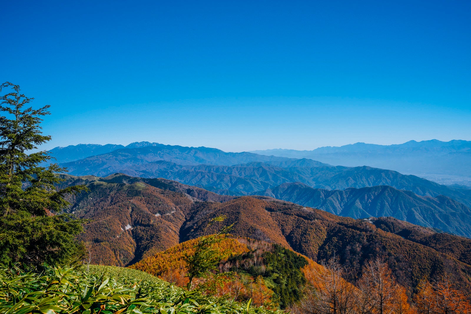 「唐松紅葉で真っ赤に染まる山が広がる恵那山周辺」の写真