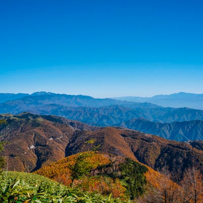 唐松紅葉で真っ赤に染まる山が広がる恵那山周辺の写真