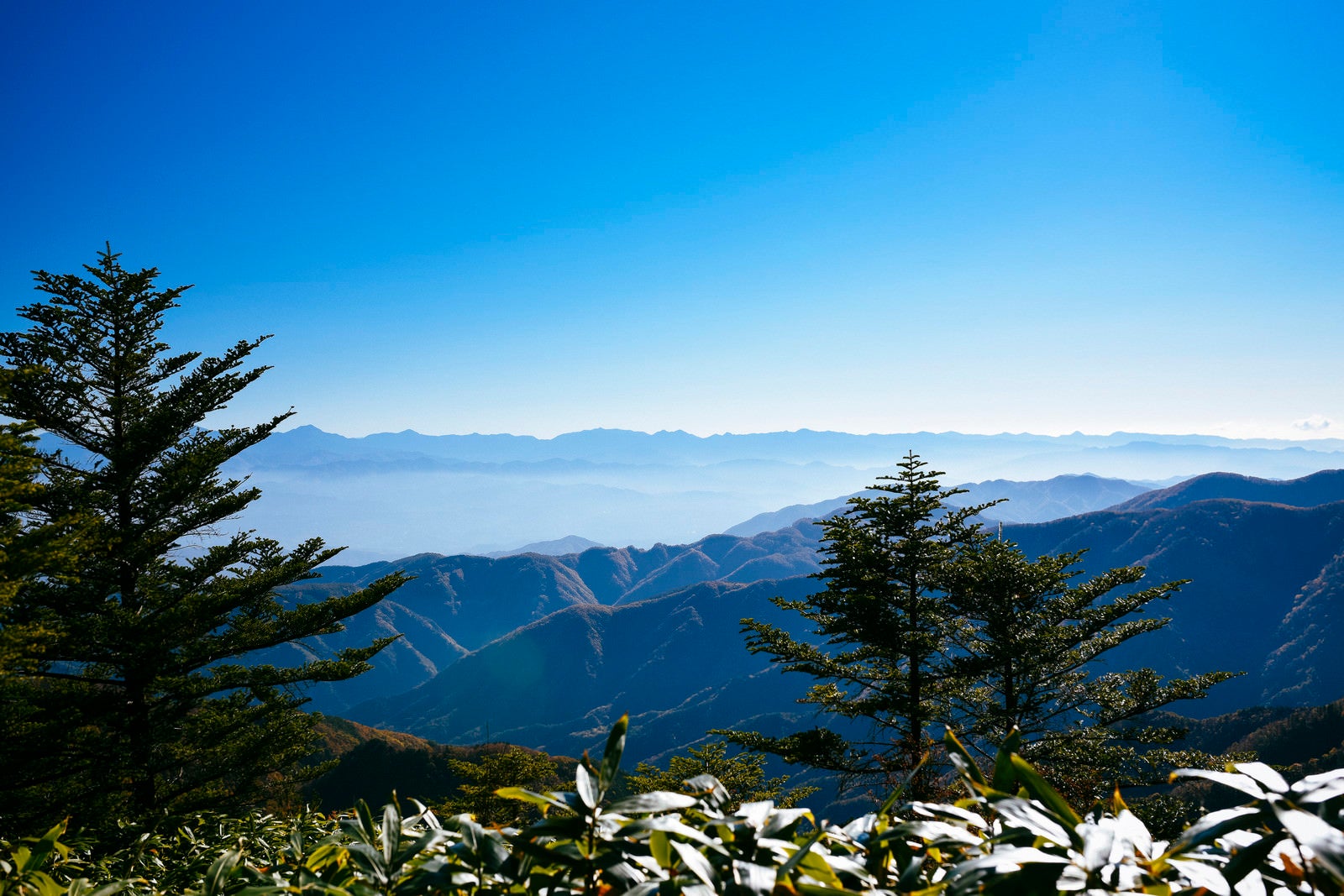 「恵那山から見るアルプスの長大な稜線」の写真