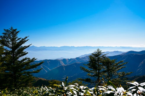 恵那山から見るアルプスの長大な稜線の写真
