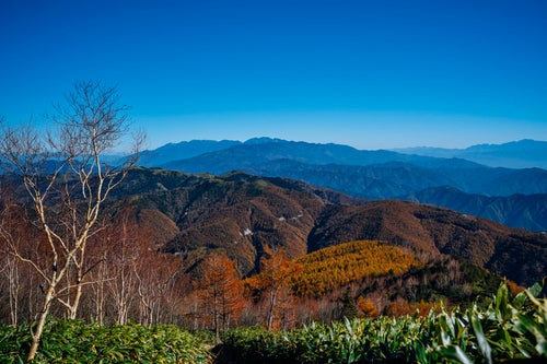 恵那山から見る中央アルプス方面の写真