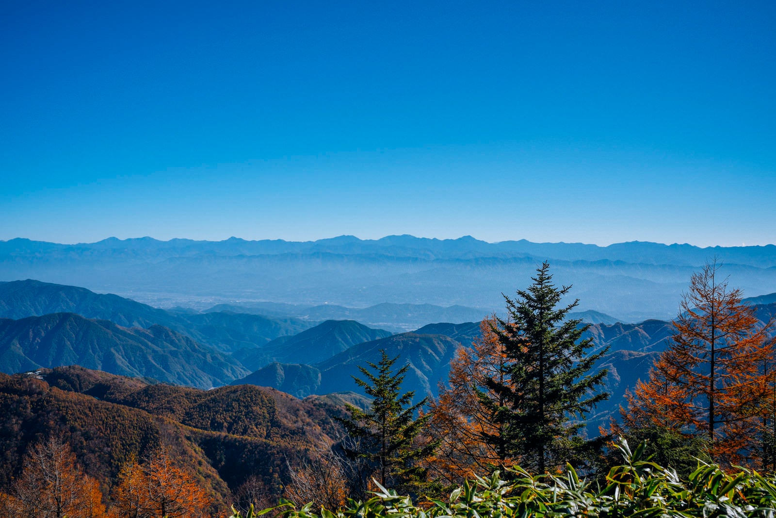 「恵那山から見る南アルプス方面」の写真