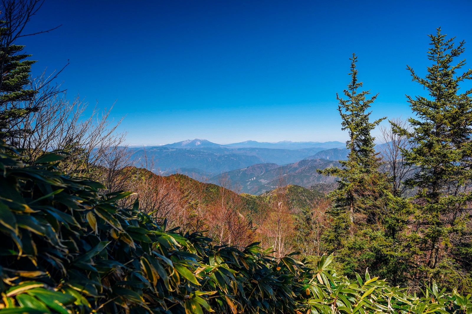 「恵那山山頂から見る御嶽山方面」の写真