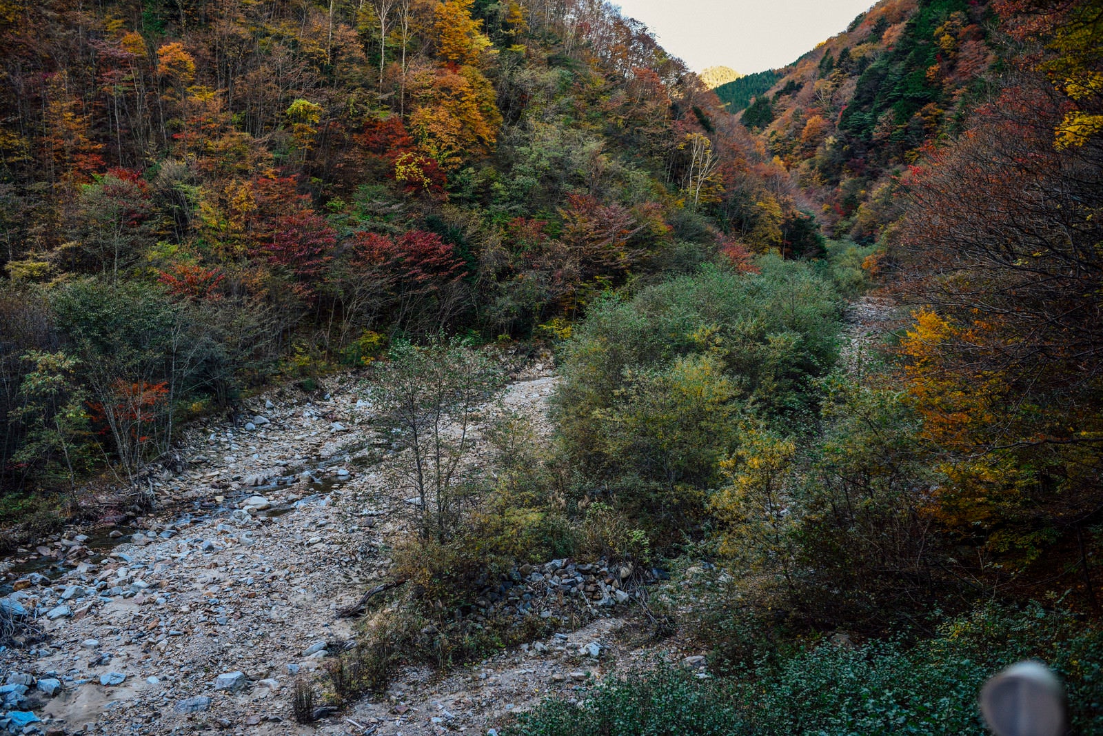 「紅葉の恵那山広河原」の写真