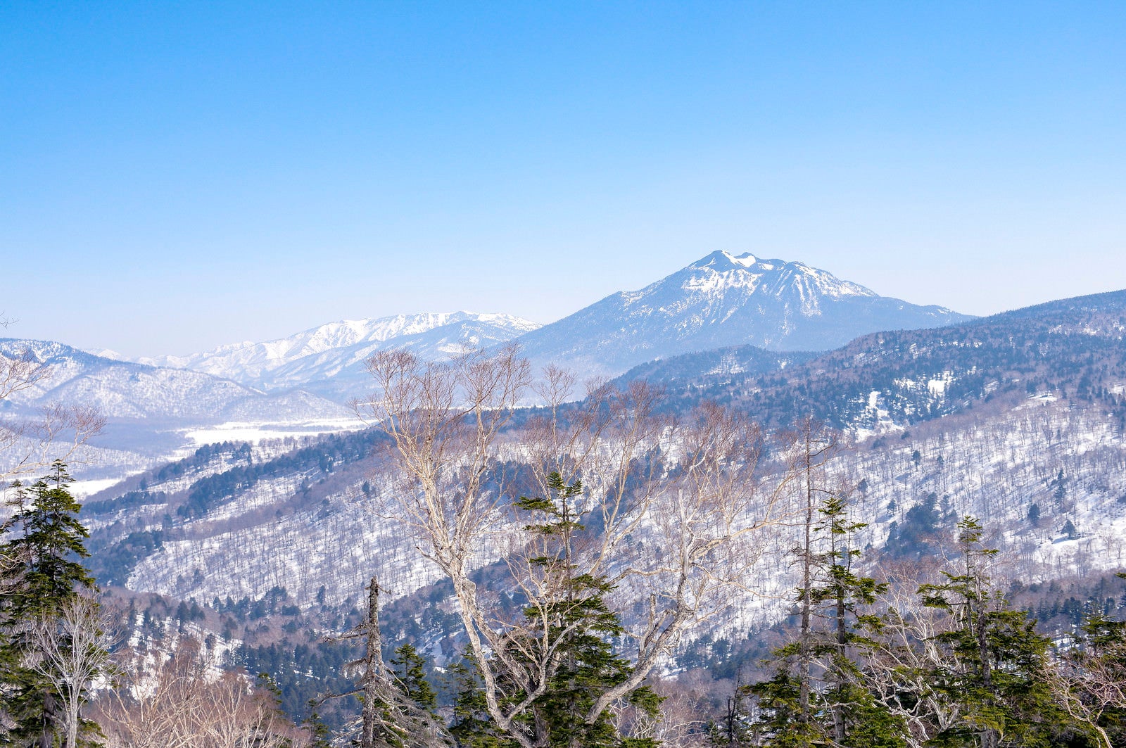 「至仏山方面から見る4月の燧ヶ岳（ひうちがたけ）」の写真
