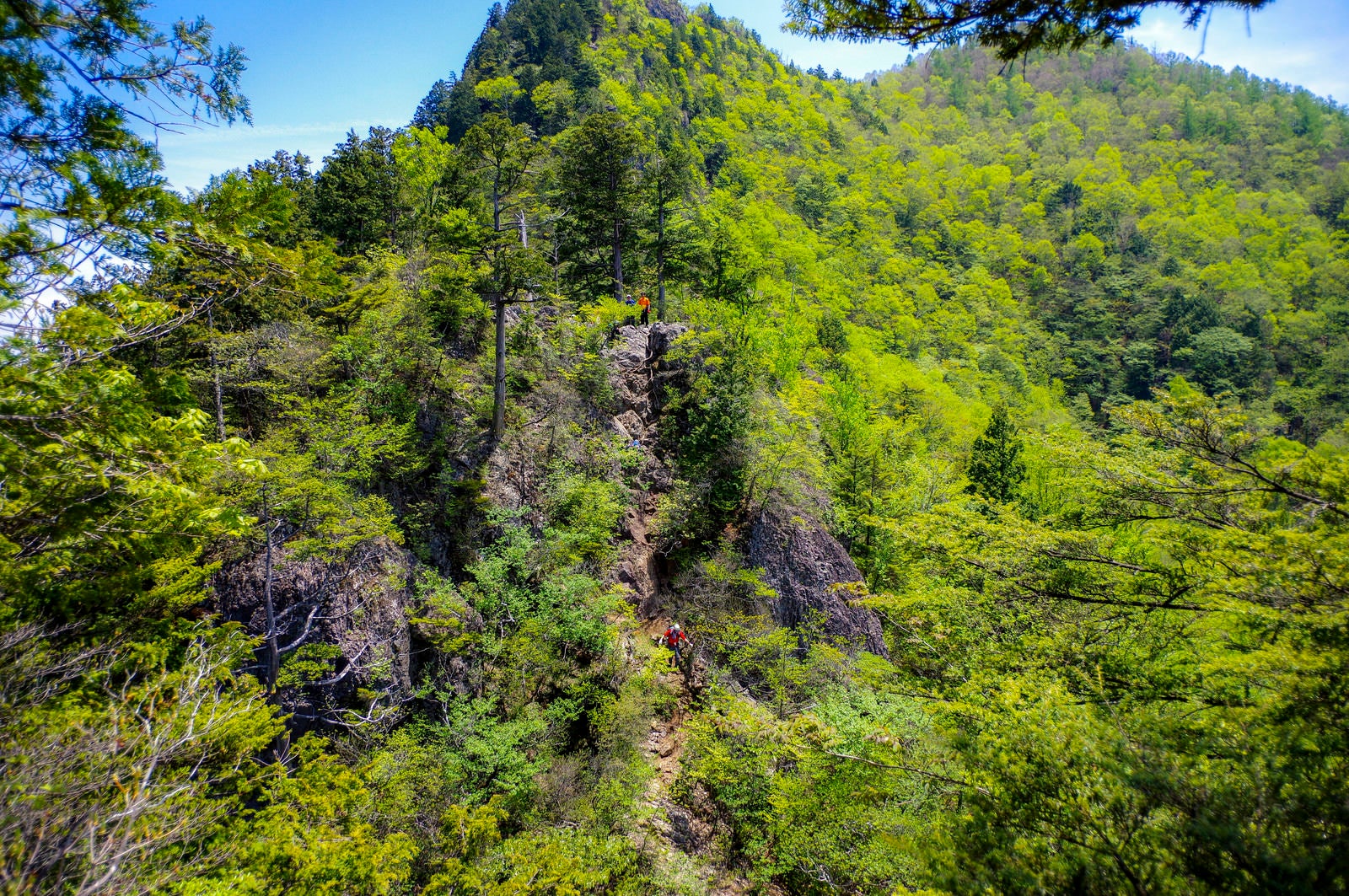 「両神山八丁尾根を登る登山者たち」の写真