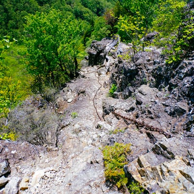 岩に這う鎖（両神山）の写真