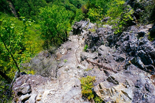 岩に這う鎖（両神山）の写真