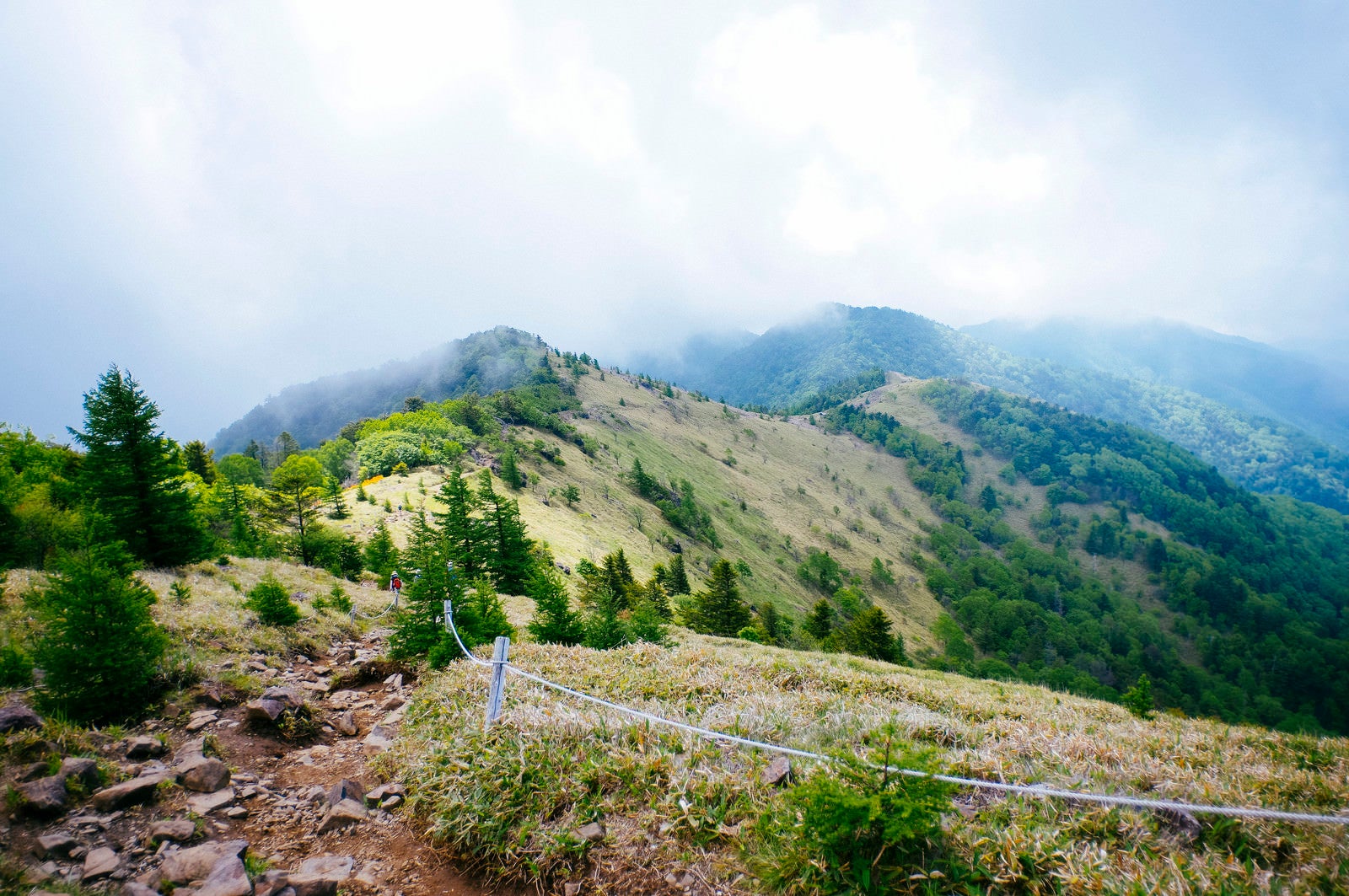 「牧歌的な景色が広がる大菩薩嶺稜線」の写真