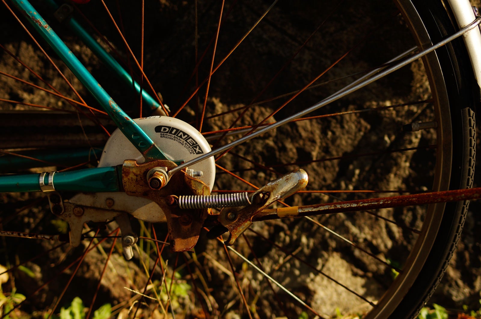 「錆びついた自転車の後輪」の写真