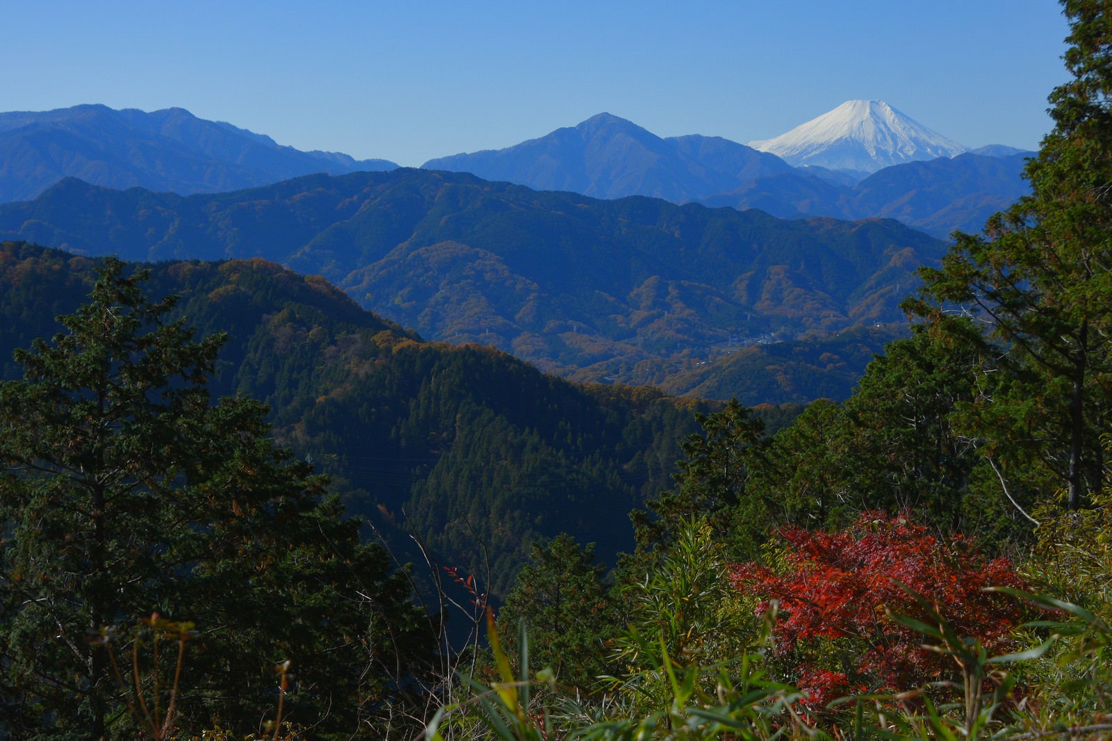 「高尾山から見た富士山」の写真
