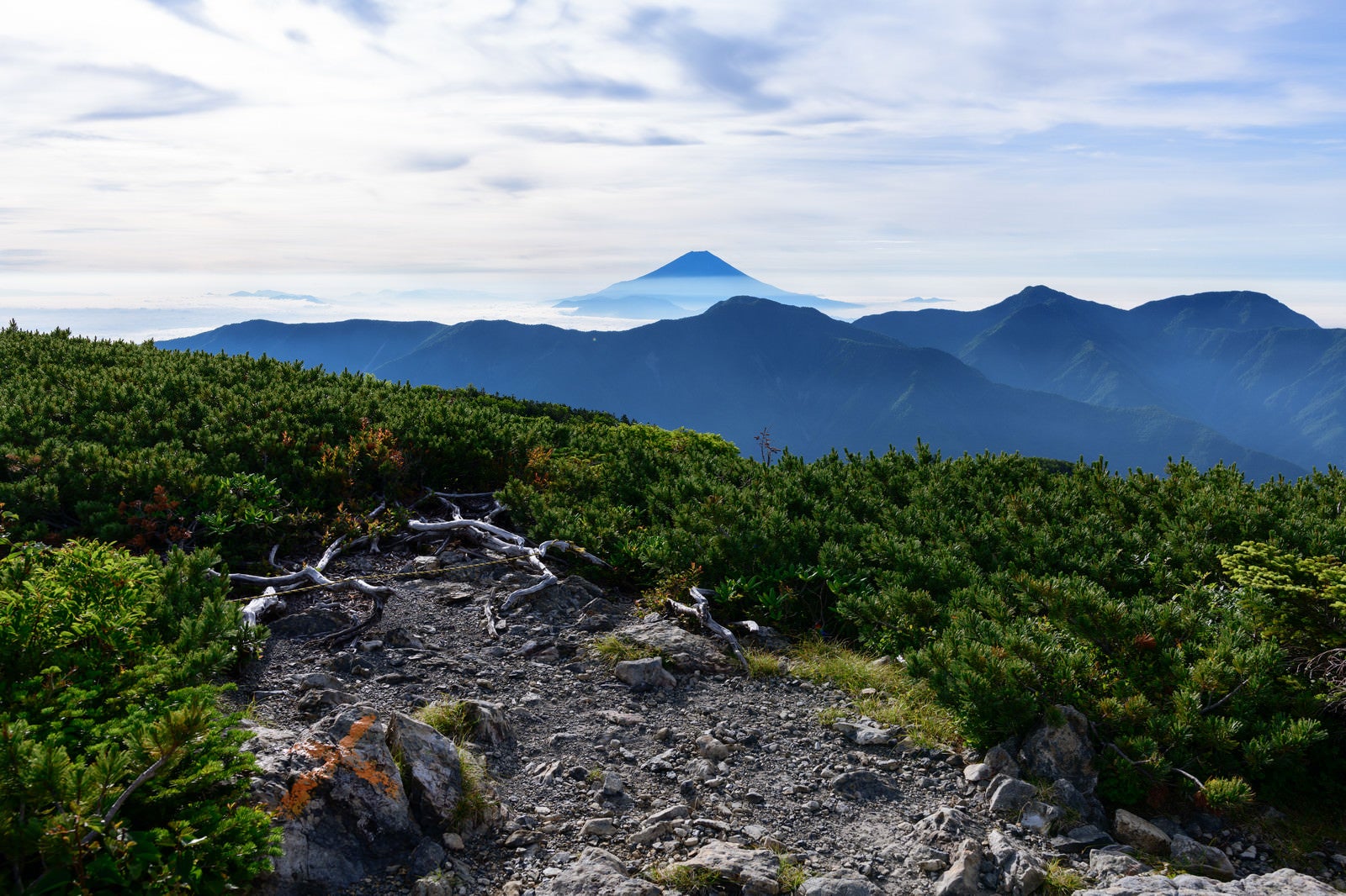 「赤石岳富士見平から見た富士山（南アルプス）」の写真